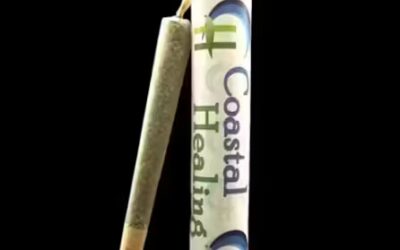 Wicked Lime Preroll | 1g | Coastal Healing