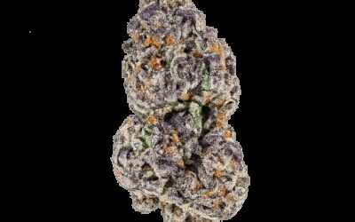 Candy Bezels Flower | 3.5g | Bountiful Farms