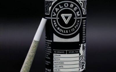 Animal Mints 10pk | 10g | Valorem