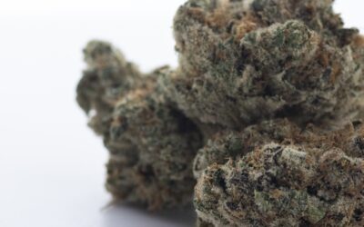 Grease Monkey x Mint Chocolate Chip Flower | 3.5g | Bountiful Farms