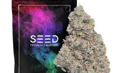 Dripz |  3.5g | SEED