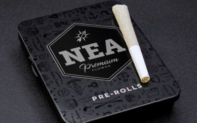 Love Truffles 5pk | 2.5g | NEA Premium