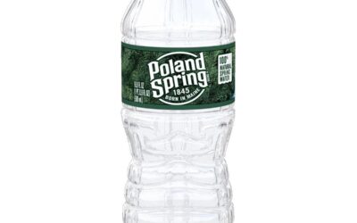 Poland Spring Water Bottle | 16.9oz