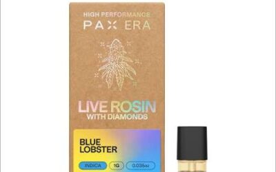 Blue Lobster LR PAX Pod | 1g | PAX