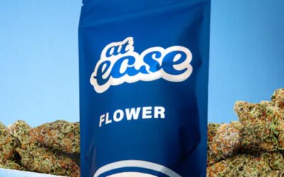 Space Boogie Flower | 3.5g | At Ease