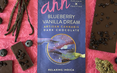 4:1 Blueberry Vanilla Dream Dark Chocolate | 20ct | Ahh