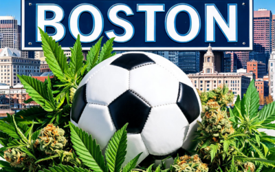 World Cup Boston Guide: Visit New England’s Only Cannabis Museum