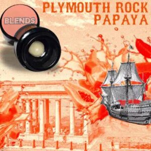 Plymouth Rock Papaya Live Hash Rosin | 1g | Blends
