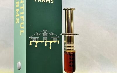 Southern Saunders Dart | 1g | Bountiful Farms