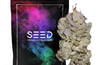 Wedding Cake X Black Widow Smalls | 14g | SEED