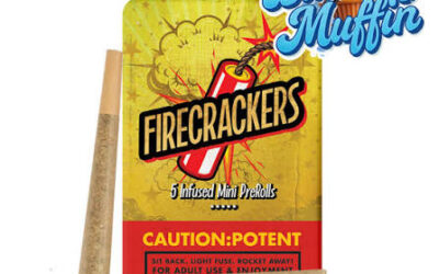 Firecrackers Blueberry Muffin Infused Preroll  5pk | 3.5g | Pioneer Valley