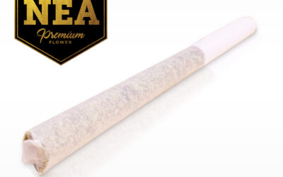 Moon Man Pre-Roll | 1g | NEA Premium