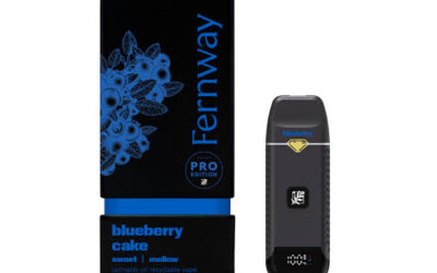 Blueberry Cake Traveler PRO | 1g | Fernway
