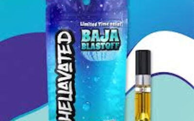 Baja Blastoff Distillate Cartridge | 1g | Hellavated
