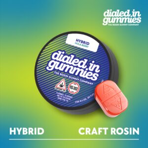 Hula Berry Gummies | 20ct | Dialed In