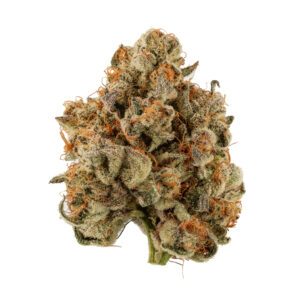 Gush Mints Flower | 3.5g | Smyth Cannabis