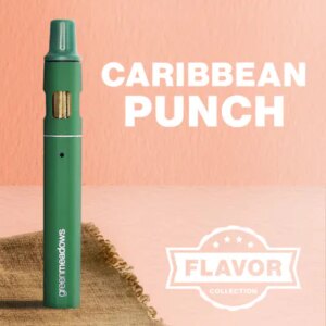Caribbean Punch Pen | 1g | The Tank
