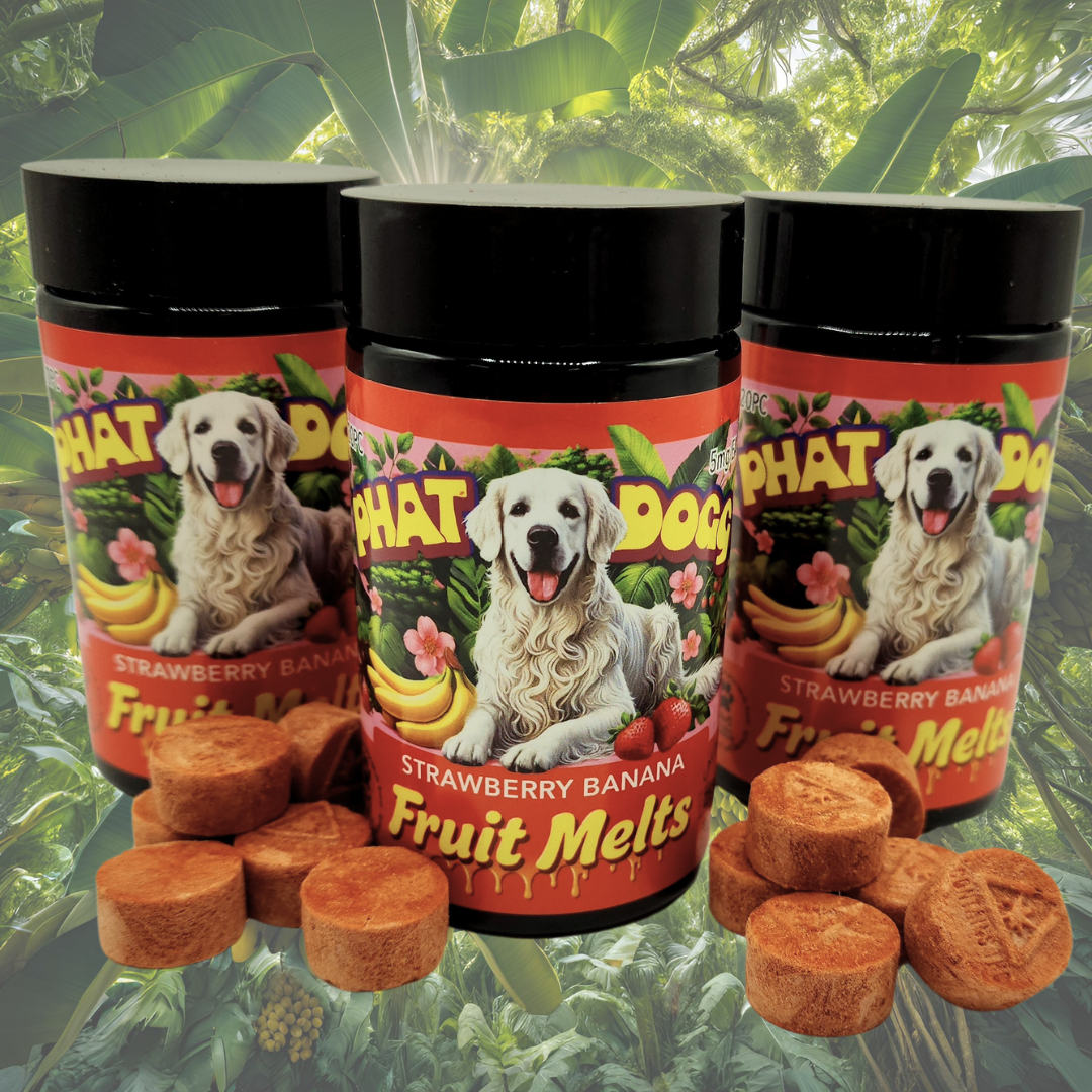 Strawberry Banana Fruit Melt | 20ct | Phat Dogg 1 Strawberry Banana Fruit Melt | 20ct | Phat Dogg