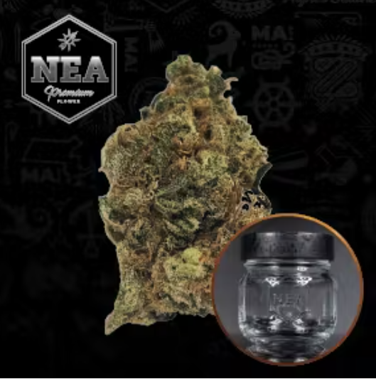 Sunburst Flower | 3.5g | NEA Premium 1 Sunburst Flower | 3.5g | NEA Premium