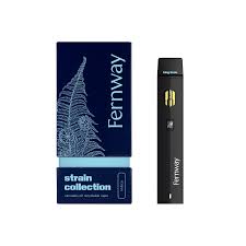 King Louis Traveler | 1g | Fernway