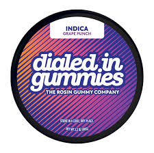 Grape Punch Gummies | 20ct | Dialed In