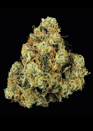 Mad Honey | 3.5g | U4EA Farms 1 Mad Honey | 3.5g | U4EA Farms