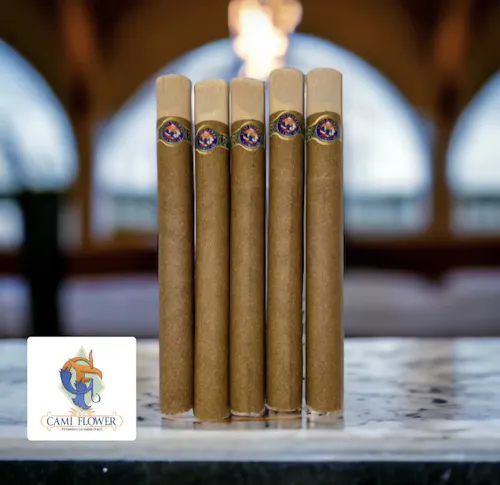 Captain's Catch Cannigar | 2g | Camigar 1 Captain's Catch Cannigar | 2g | Camigar