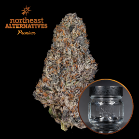 Trufflegasm #16 Flower | 3.5g | NEA Premium 1 Trufflegasm #16 Flower | 3.5g | NEA Premium