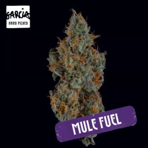 Mule Fuel Flower | 3.5g | Garcia's Hand Picked