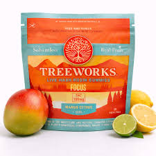 Focus Citrus Hash Rosin Gummies | 10ct | Treeworks