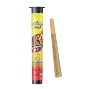 Watermelon Splash Infused Preroll | 1g | Firecracker