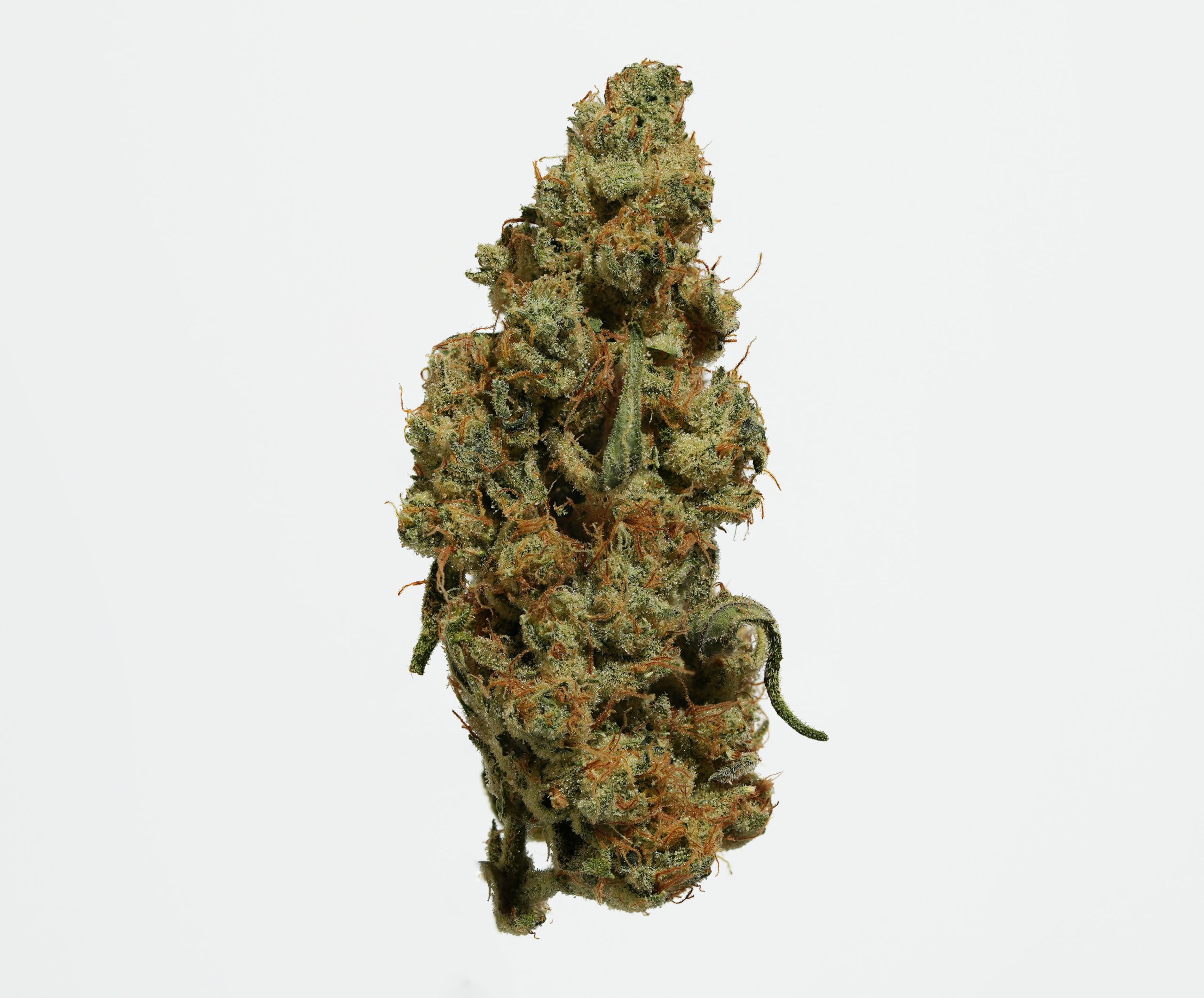 Buck Nasty Flower | 3.5g | R35: Reserve 1 Buck Nasty Flower | 3.5g | R35: Reserve