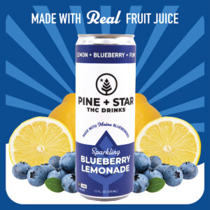 Sparkling Blueberry Lemonade | 5mg | Pine + Star