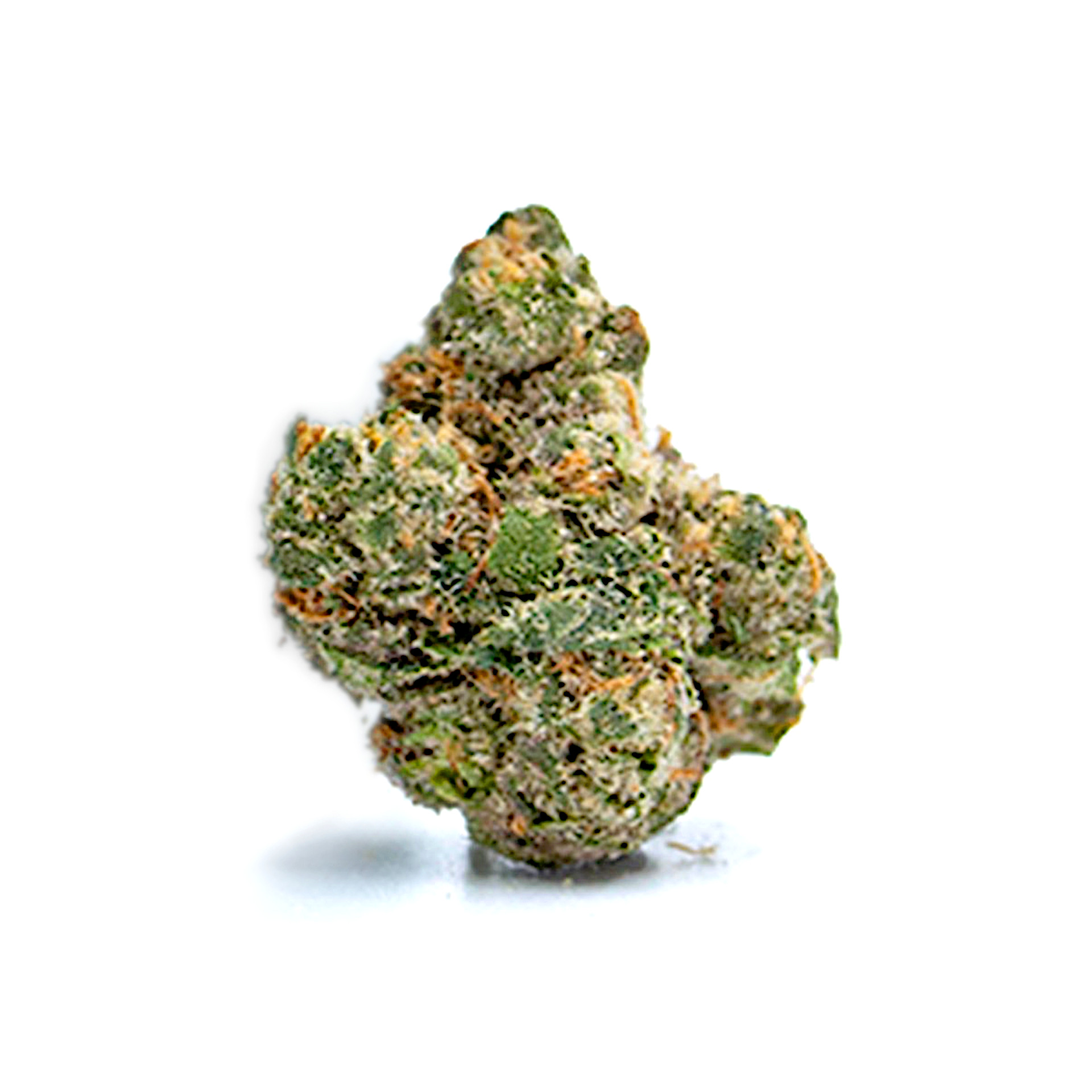 Zweet Inzanity Flower | 3.5g | SEED 1 Zweet Inzanity Flower | 3.5g | SEED