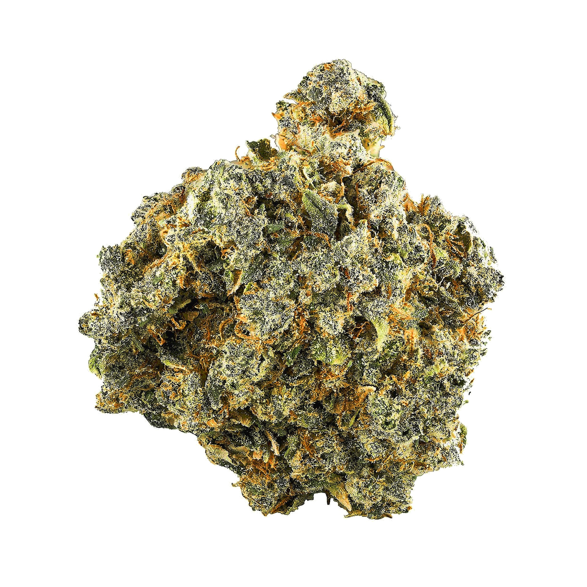Ghost Train Haze Flower | 3.5g | Smyth Cannabis 1 Ghost Train Haze Flower | 3.5g | Smyth Cannabis