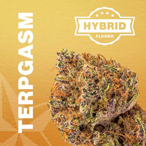 Terpgasm Flower | 3.5g | Green Meadows 1 Terpgasm Flower | 3.5g | Green Meadows