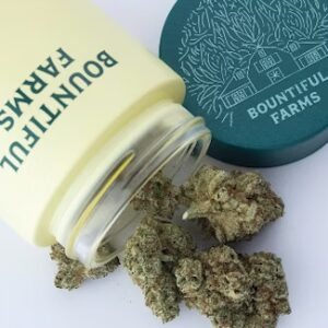 Burberriez Flower | 3.5g | Bountiful Farms