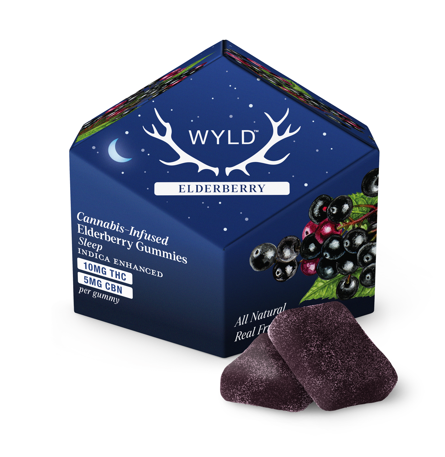 2:1 Elderberry Gummies | 10ct | Wyld 1 2:1 Elderberry Gummies | 10ct | Wyld