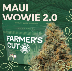 Maui Wowie 2.0 Flower | 3.5g | Farmer's Cut 1 Maui Wowie 2.0 Flower | 3.5g | Farmer's Cut