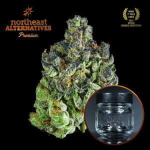 Kine Garlic Cookies Flower | 3.5g | NEA Premium