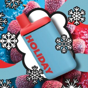 Shop 80 Staycation H-Bar | 1g | Holiday