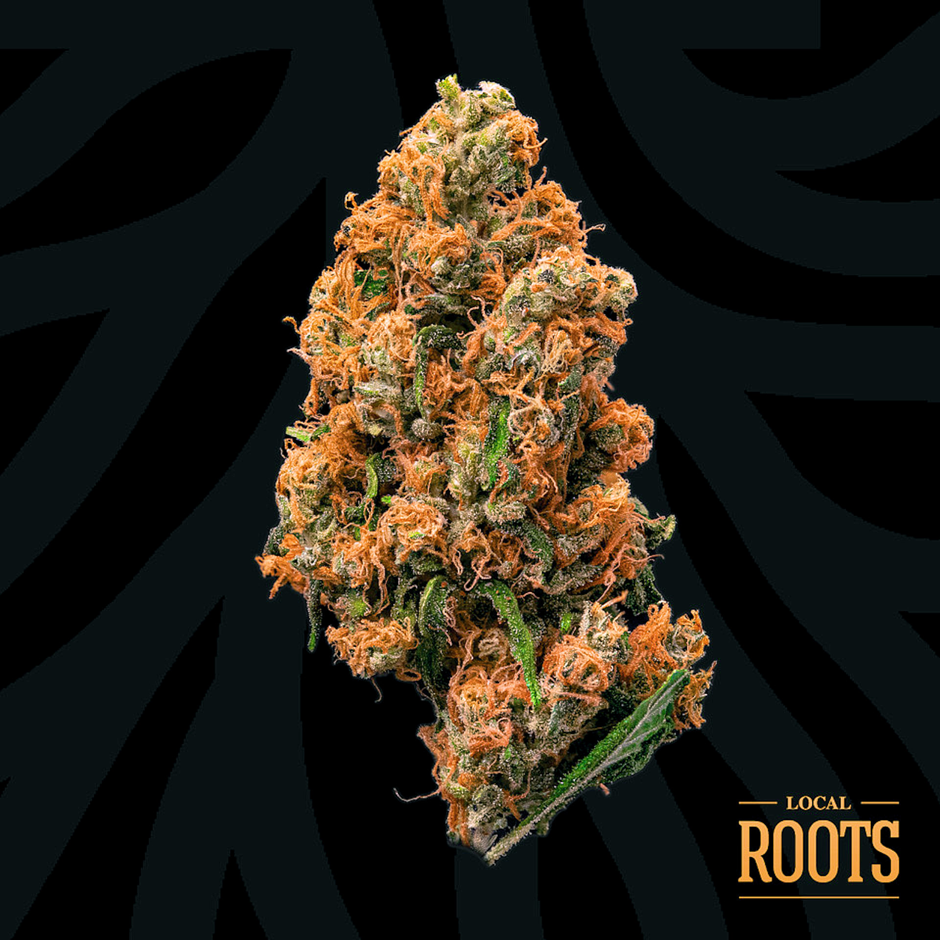 Eternal Sunshine Flower | 3.5g | Local Roots 1 Eternal Sunshine Flower | 3.5g | Local Roots
