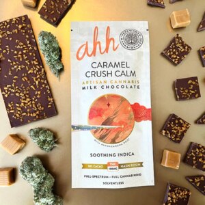 Caramel Crush Milk Chocolate | 20ct | Ahh