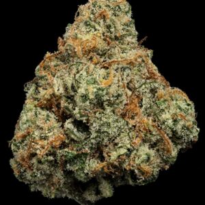 Shop 46 Where's My Bike | 3.5g | U4EA Farms