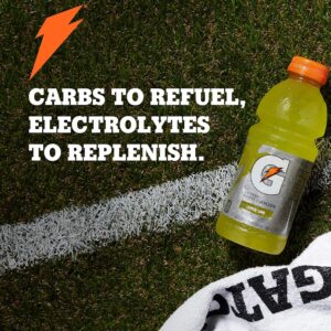 Gatorade | Assorted Flavors | 12oz Bottle