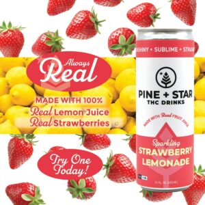 Sparkling Strawberry Lemonade | 5mg | Pine + Star