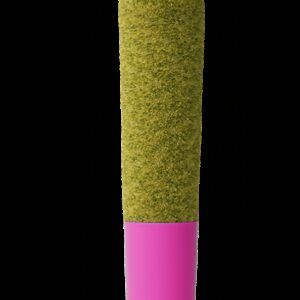 Pink Lemon Infused Preroll | .5g | Jeeter