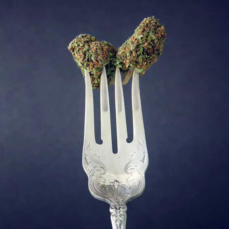 cannabis buds on a fork