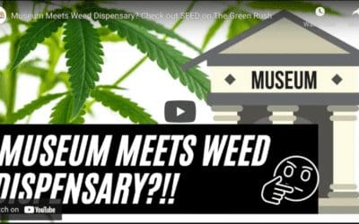 Museum Meets Weed Dispensary? Check out SEED on The Green Rush