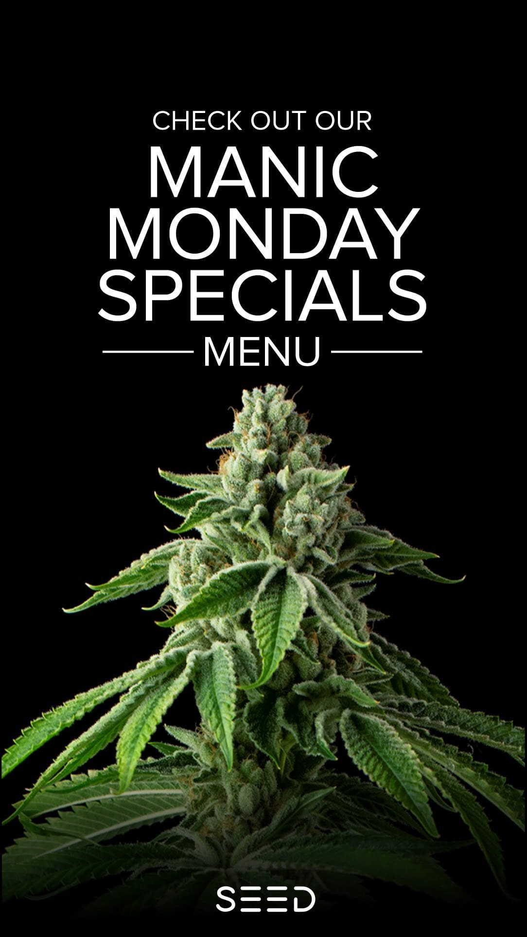 Check out Our menu for
New Manic Mondays Specials
Link in bio